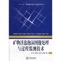 矿物浮选泡沫图像处理与过程监测技术