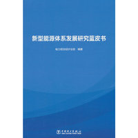 新型能源体系发展研究蓝皮书