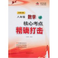 八年级数学上核心考点精确打击(北师大版)(附盘)