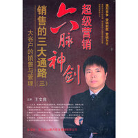 六脉神剑 超级营销之 销售的三大通路(三)(DVD)