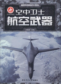 空中卫士：航空武器