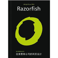 设计新视点丛书: 拉索费殊公司的网页设计