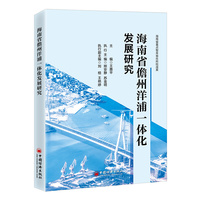 海南省儋州洋浦一体化发展研究