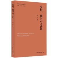 当代陕西文学评论文丛:乡村、城市与文化 刘宁著