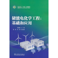储能电化学工程：基础和应用