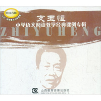中国名师系列：支玉恒小学语文阅读经典课例专辑（10VCD）