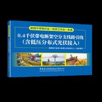 0.4千伏带电断架空分支线路引线（含低压分布式光伏接入）