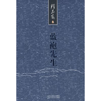 蓝袍先生