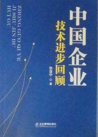 中国企业技术进步回顾