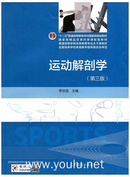 运动解剖学-(第三版)