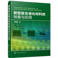 新型复合催化材料的制备与应用
