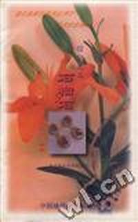 信仰之石--石榴石