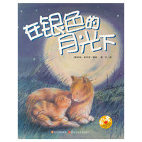 在银色的月光下