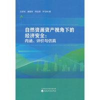 自然资源资产视角下的经济安全：内涵、评价与仿真
