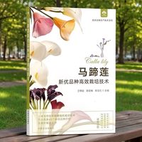 马蹄莲新优品种高效栽培技术