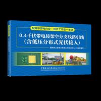 0.4千伏带电接架空分支线路引线（含低压分布式光伏接入）