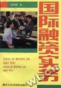 国际融资实务