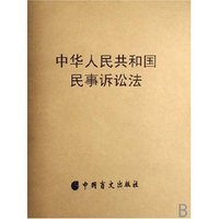 中华人民共和国民事诉讼法(盲文版)