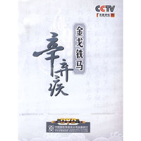 金戈铁马 辛弃疾(4DVD)