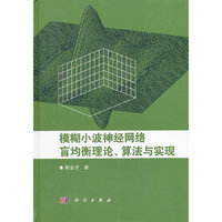 模糊小波神经网络盲均衡理论.算法与实现