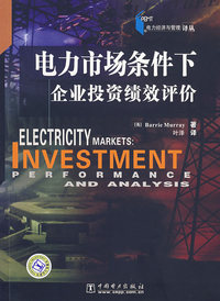 电力经济与管理译丛——电力市场条件下企业投资绩效评价