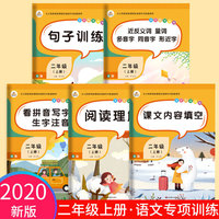 2020秋语文专项训练二年级上册共5本小学阅读理解句子训练课文内容填空全套同步练习作业看拼音写词语生字人教版