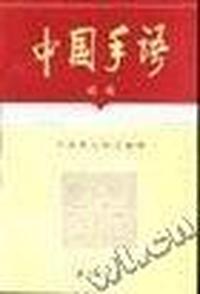 中国手语:续集