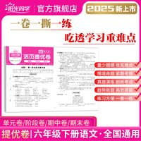 2025春阳光同学日积月累活页提优卷六年级下册语文人教版小学6年级下册专项训练