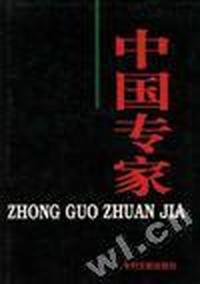 中国专家