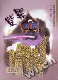 新时期地城文化小说丛书:紫雾