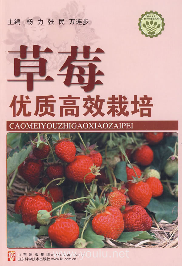 草莓优质高效栽培—社会主义新农村建设文库