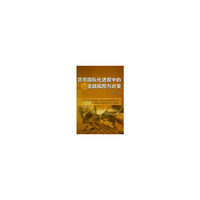 货币国际化进程中的金融风险与对策