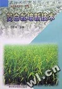 茭白栽培新技术