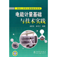 电能计量基础与技术实践