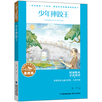 全国优秀儿童文学奖·大奖书系——少年摔跤王（分级阅读：5-6年级）