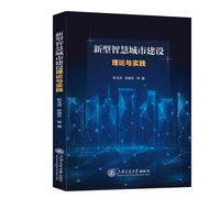 新型智慧城市建设理论与实践