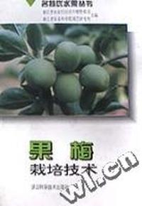 果梅栽培技术