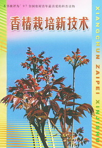 香椿栽培新技术