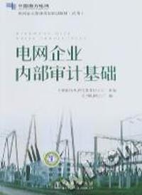 电网企业内部审计基础