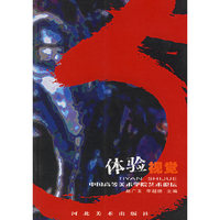 体验视觉/中国高等美术学院艺术论坛