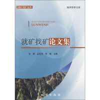 就矿找矿丛书 就矿找矿论文集