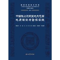 中国陆上沉积盆地大气田地质理论与勘探实践