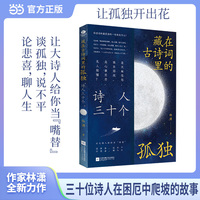 藏在古诗词里的孤独 : 诗人三十个