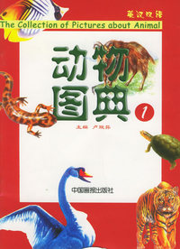 动物图典（英汉双语）（全13册）