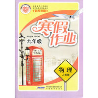 初中寒假作业·物理·九年级·人教版