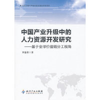 中国产业升级中的人力资源开发研究-基于全球价值链分工视角