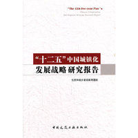 十二五中国城镇化发展战略研究报告