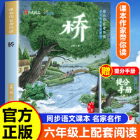 课本作家带你读：桥六年级上册
