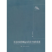 社会企业的崛起及其在中国的发展/新视点文库