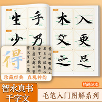 墨点字帖 智永真书《千字文》入门图解 毛笔碑帖单字放大视频教程笔法教学楷书毛笔书法临摹字帖初学者入门